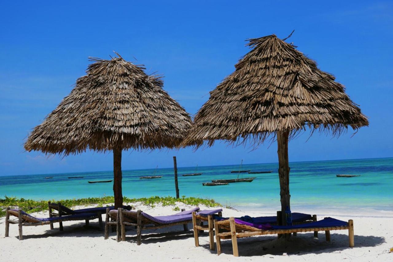Lodge Blue Earth Jambiani (Zanzibar)